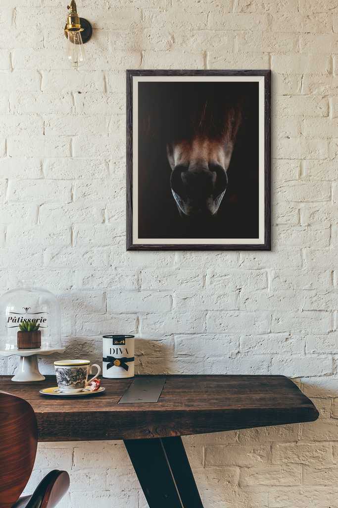 Horse nose photo mock up