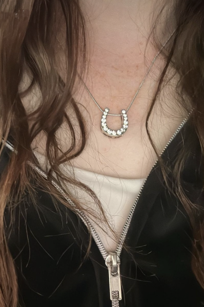 Horseshoe diamond necklace